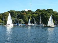 5te-Clubregatta 2013 104